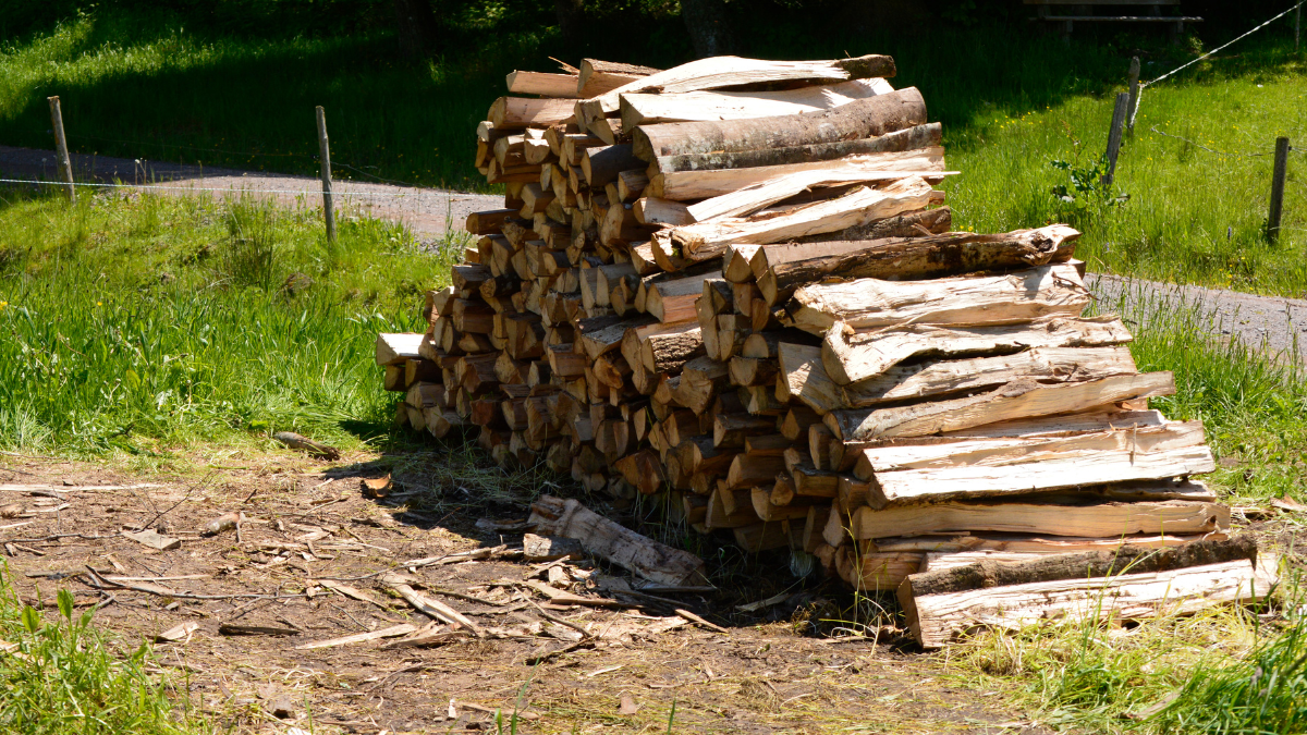 WNC Firewood